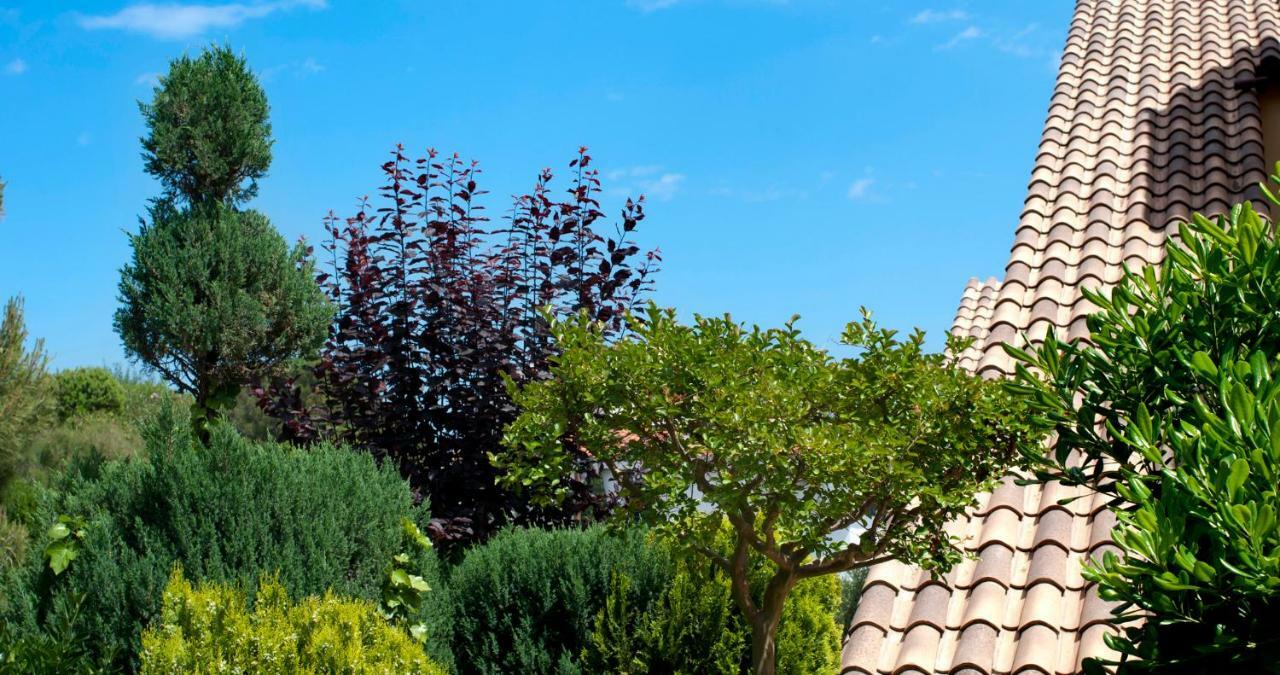 Apartament Les Tonyines Llança Exteriér fotografie